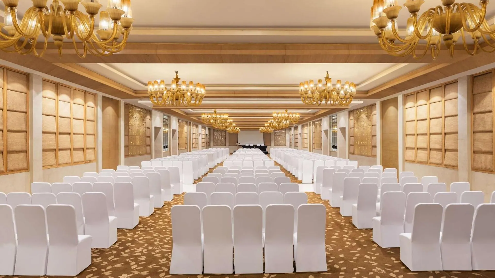*****  Radisson Blu Hotel New Delhi Dwarka India