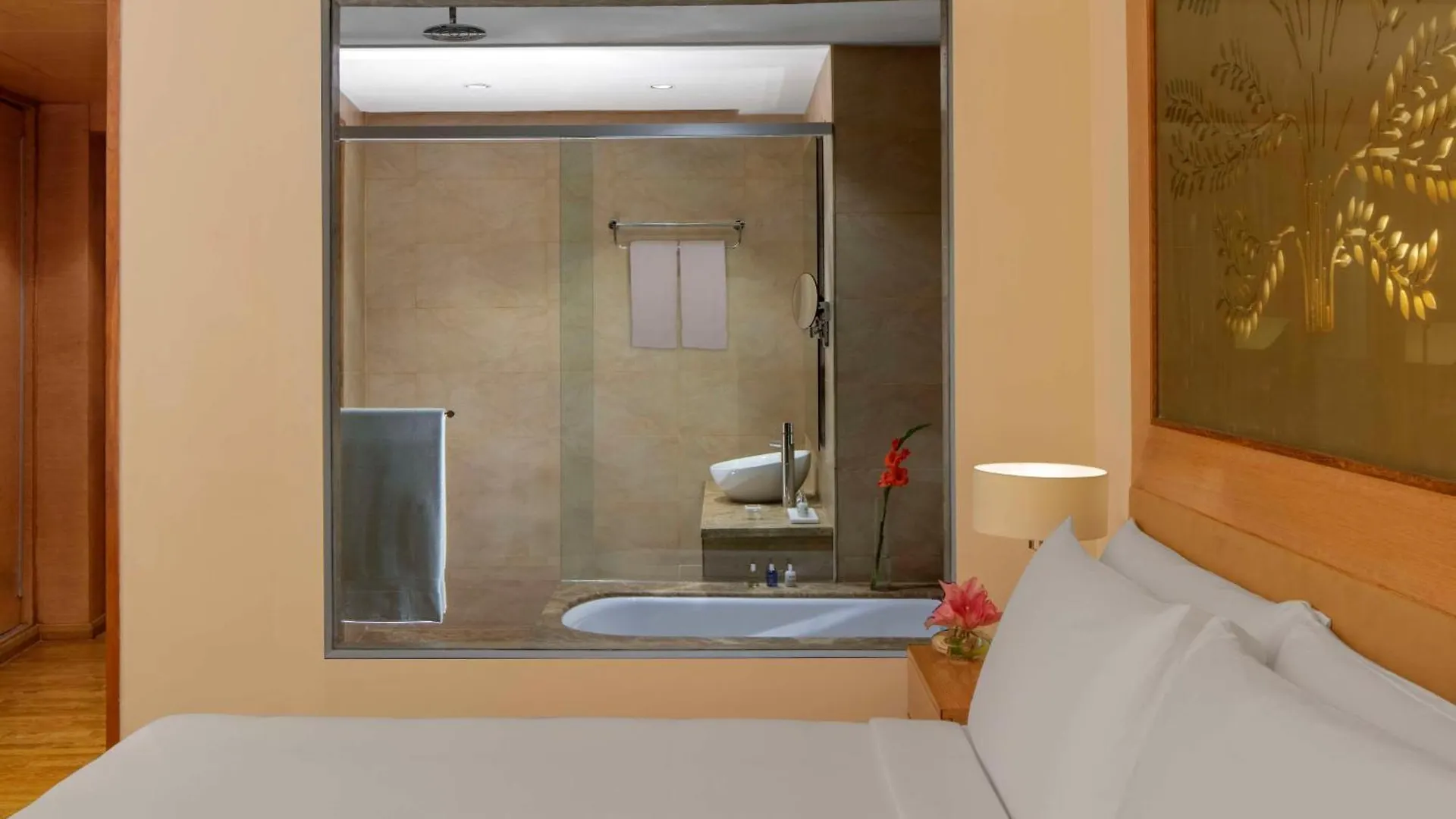 Radisson Blu Hotel New Delhi Dwarka 5*, Delhi (National Capital Territory of India) India