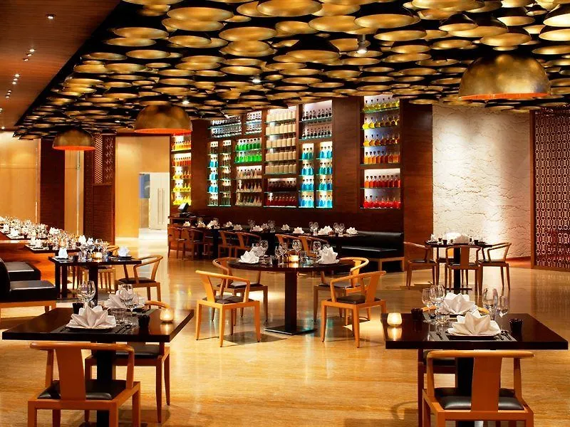 Radisson Blu Hotel New Delhi Dwarka India